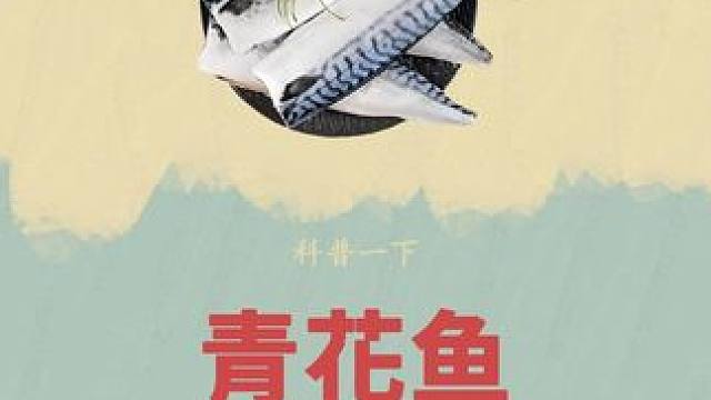 没想到被海盗追一次还能有这样的收获！#青花鱼 #科普 #鲭鱼