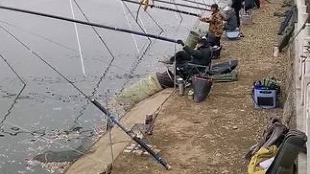 户外钓鱼，十米的鱼竿都不好意思来钓鱼！#钓鱼 #钓鱼的乐趣只有钓鱼人懂