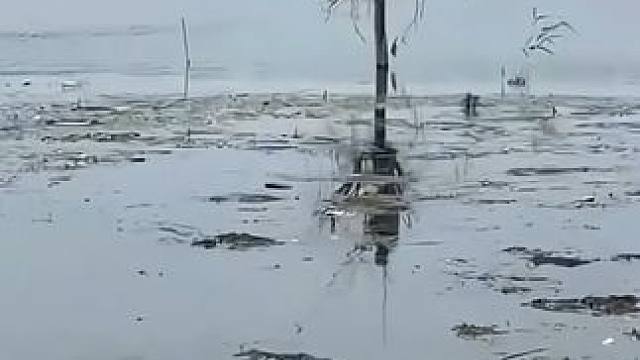 户外钓鱼！#钓鱼 #钓鱼的乐趣只有钓鱼人懂