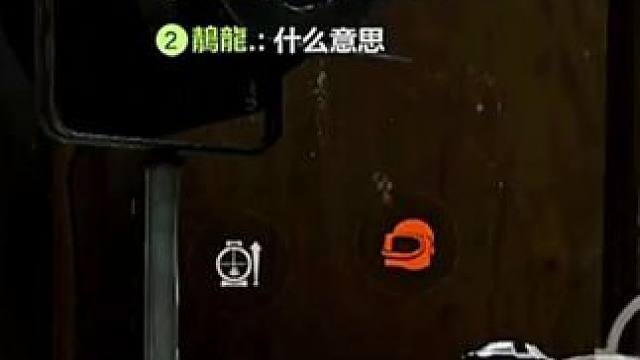 “录音室来了一堆猴子”
