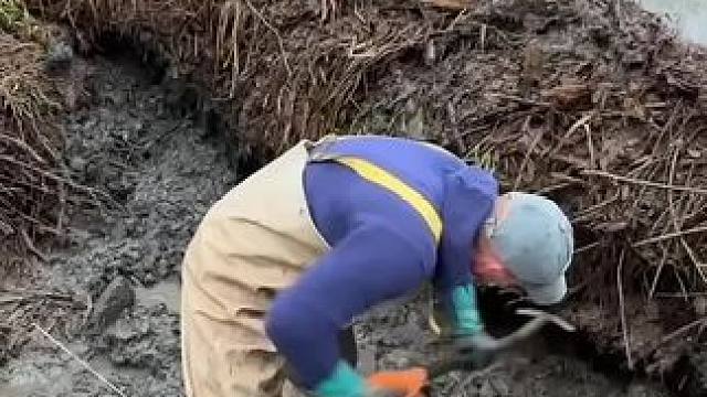 冲下来那刻很爽 #国外视频分享 #解压 #河道清理 #户外 #干活我是认真的