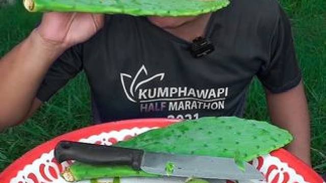 驴哥吃大片仙人掌仙人掌果 #泰国美食 #户外美食 #泰国生活 #美食