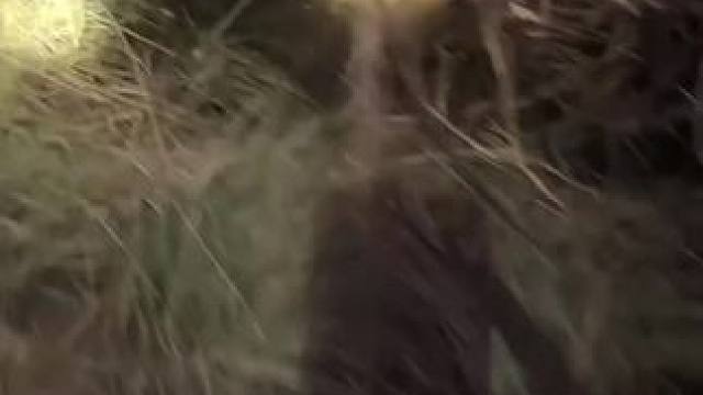 东南亚乡村生活 #户外抓鱼 #户外抓田鸡 #真实户外 #我的乡村生活