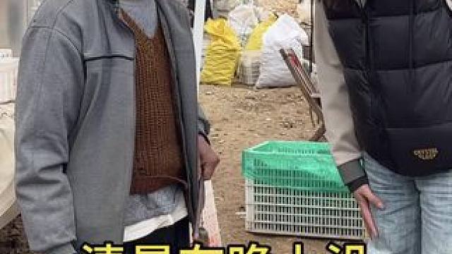 什么是清晨有晚上没？