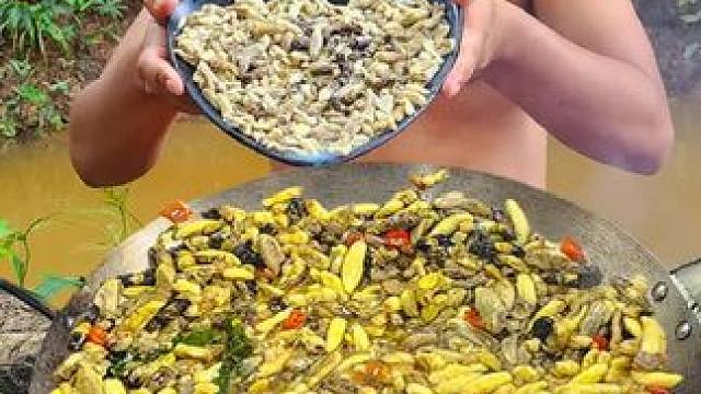 爆炒蜂蛹 #蜂蛹#东南亚美食 #原始美味#蜂蛹美食