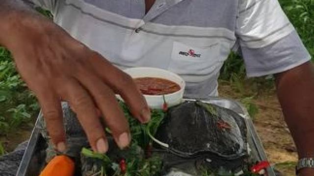 爱吃甲鱼 #我的乡村生活 #农村美食记录生活 #原始美味 #舌尖上的美食 #当地特色美食