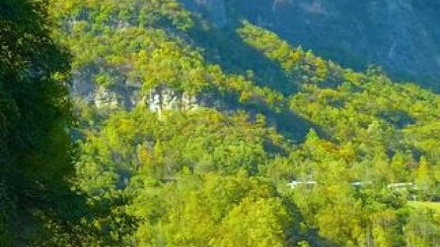 湖北神农架林区九松路宋洛乡段沿途景色 #最美的风景在路上 #旅行推荐官 #神农架