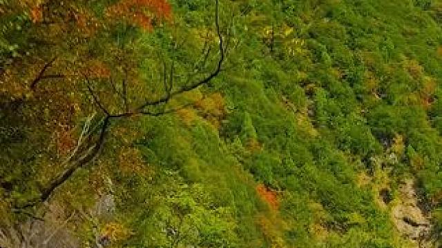 国道108陕西西安市周至县段沿途秦岭秋色 #最美的风景在路上 #旅行推荐官 #秦岭