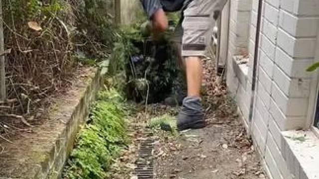 男人减速带，解压庭院除草护理员。 #解压视频 #除草解压 #强迫症看了很享受 #极度舒适 #解压