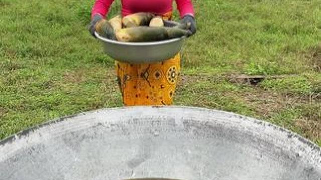 竹笋炒肉 #东南亚美食 #原始美味 #农村美食 #泰国美食 #奇特美食大搜罗