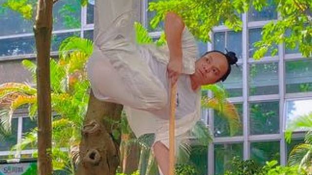 棍扫一大遍、枪挑一条线