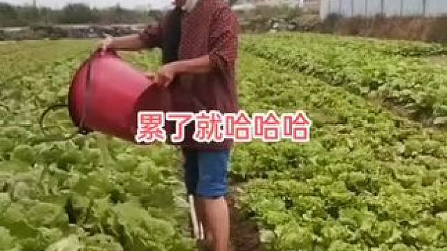 山卡卡里的农村大姐学费了开直播每天收获满满满您还在恐播怕播不敢开播开播了不知说什么吗#记录真实生活 