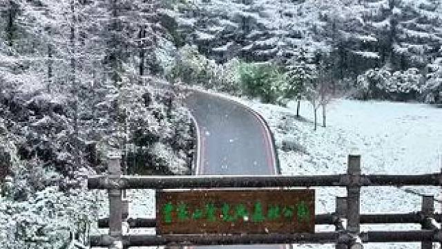 2024年广元曾家山冬天的第一场雪开始了#雪一落这里就美成了诗 #冬季赏雪好去处 #一场大雪美如画 