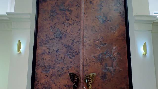 今天一定要给大家介绍一款超棒的系统门！#TINNO帝诺系统入户门#别墅门#系统门#偏轴门#苏州