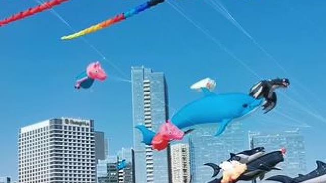 厦门观音山的风筝节，风筝很漂亮！#手机摄影 #厦门风景 #风筝有风海中有海 #放风筝 。