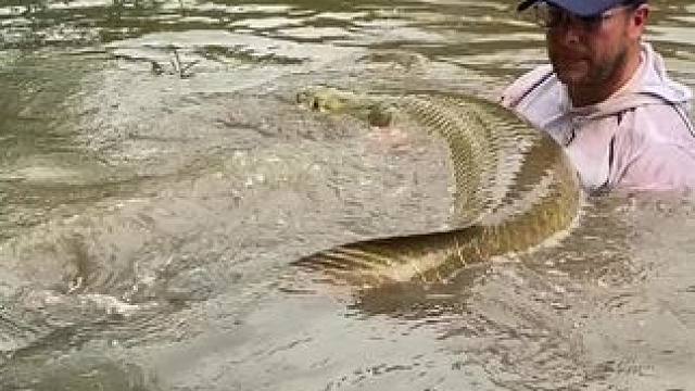 #这鱼哪个钓友看了不羡慕 #入冬钓鱼指南 #每个钓鱼人都有个百斤巨物梦