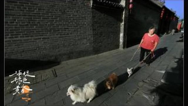 #每个镜头都有它的故事 #用影像定格烟火人间