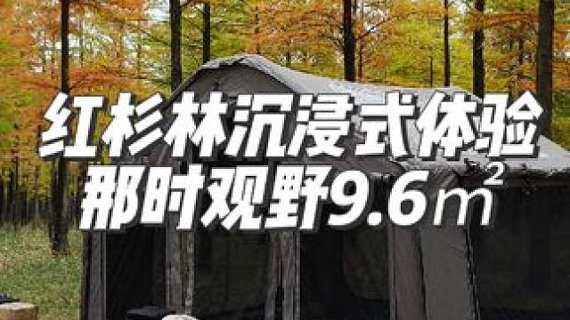 初冬沉浸式体验红杉林露营#户外露营 #浩林木业  #林中小屋 #冬季露营 #那时观野9.6
