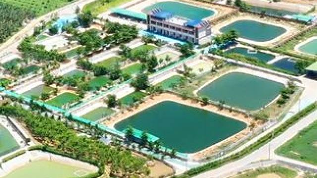 鳄珍品牌始终秉持着产业链一体化 #鳄珍 #鳄鱼