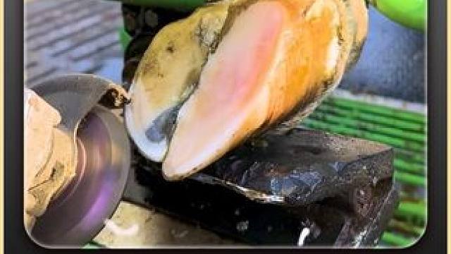 喜大普奔，阳光普照，小哥也是终于冲洗了牛蹄#修蹄 #解压 #强迫症 #助眠