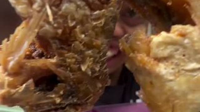 哈哈吃鱼咯 #我的乡村生活 #实在憋不住就笑出来吧 #我的农村生活