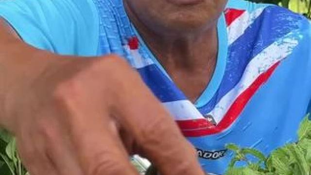 泰国特色美食（牛肉赤身） #泰国牛肉赤身#泰国美食#泰国菜#泰国特色美食