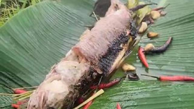 竹筒煮鱼 #我的乡村生活 #农村美食记录生活 #舌尖上的美食 #令人心动的梦中情家 #农村生活