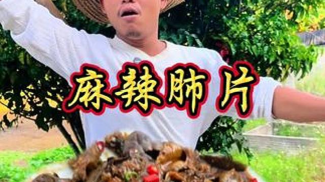 菜市场两块钱一副的猪肺别人都不要 今天我全拿回来做麻辣肺片 #农村美食 #妈呀太香了 #农村生活 #
