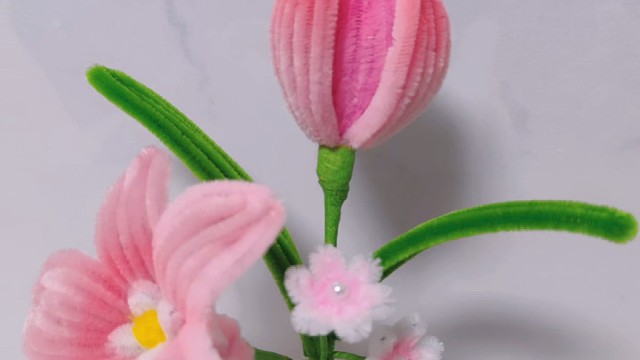 走走停停，或南或北