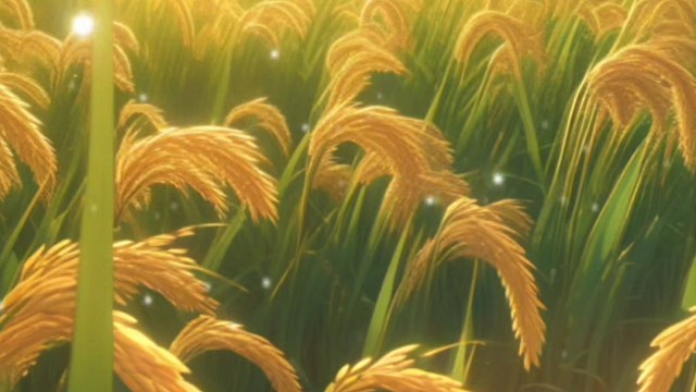 什么是“揠苗助长”