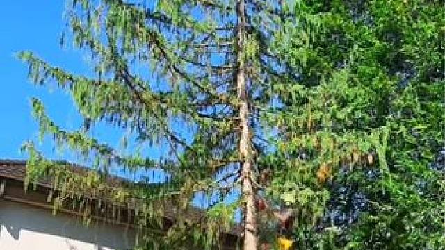 社区工作大清洁。 #极度舒适 #强迫症看了很享受 #解压视频