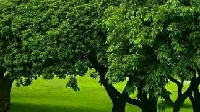 老公老爸弟弟都能穿的#加绒卫衣 谁买谁合适#品质男装 #休闲卫衣 #男士卫衣 #男士卫衣秋冬款