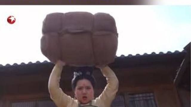 忘恩负义的秦慕准备丢弃疯了的姐姐，携款潜逃，被樱桃一个沙包重重砸下……#赵露思 #刘宇宁 #东方卫视