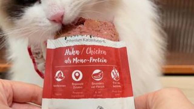 啃大猫条 #喂猫日记 #宠物吃货 #萌宠日常记录 #猫咪的治愈瞬间