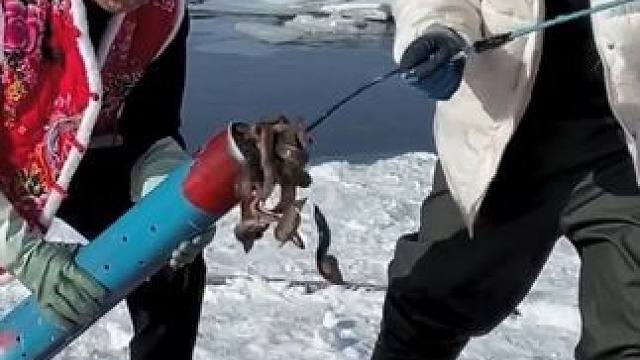 #户外捕鱼 #好多鱼