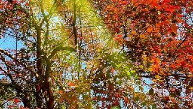 我发布了一个新视频，快来围观吧！