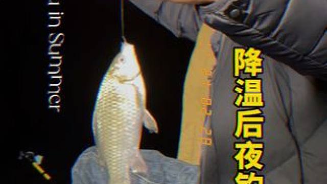 最适合冬天的钓鱼经验来了~