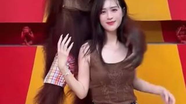 泰国网红猩猩与游客合影 #国外视频分享 #猴子成精 #泰国网红猩猩