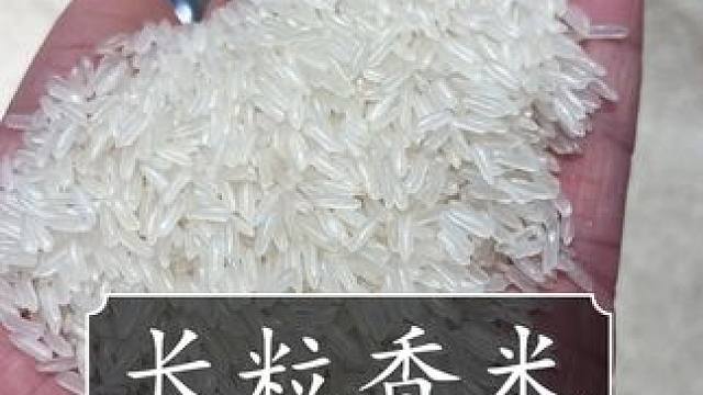 才这价就能到手足足10斤贵州长粒香大米，大家赶紧薅！#大米 #长粒米 #贵州香米