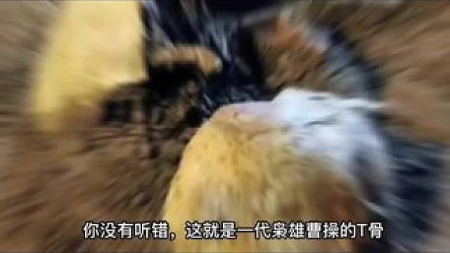 曹操：想不到千年之后，我的墓竟然被我成立的组织给盗了 #探秘 #古墓 #曹操墓 #高陵 #历史古迹