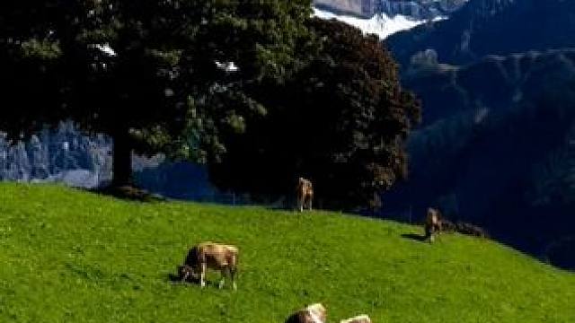 好景不常在，何时君再来？#治愈系风景 #每一帧都是热爱