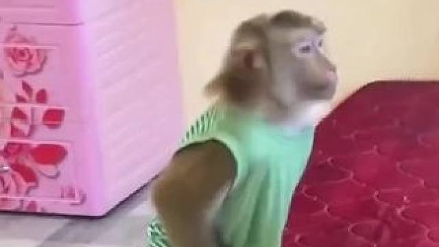 无需下载点开既玩 #密室消除 #优雅打螺丝 #消除小游戏 #学生党