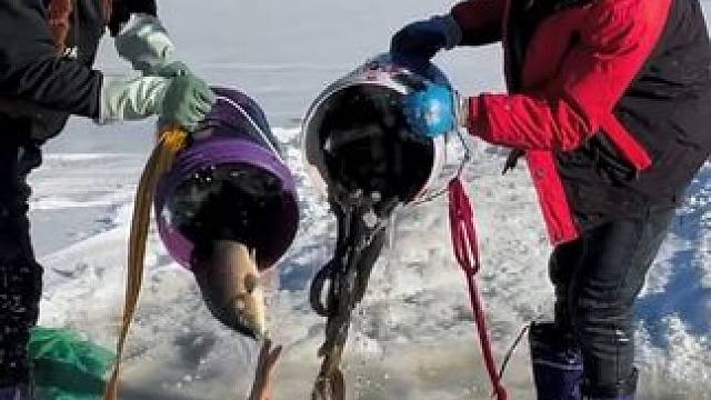 #户外捕鱼 #好多鱼