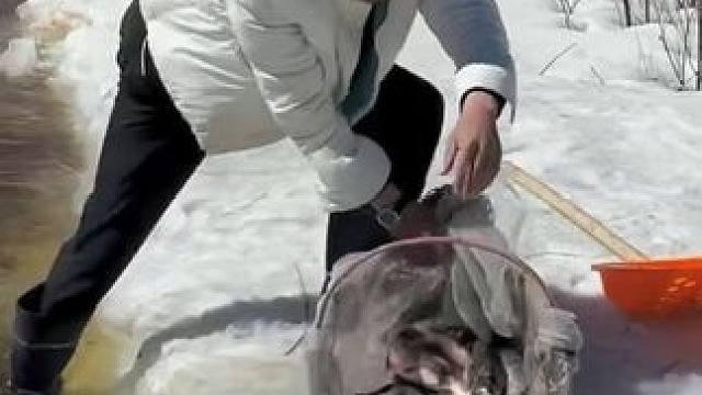 #户外捕鱼 #好多鱼