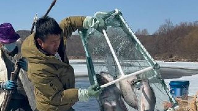 #户外捕鱼 #好多鱼