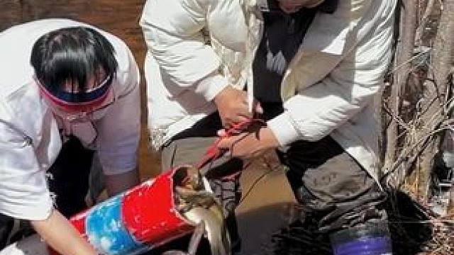 #户外捕鱼 #好多鱼