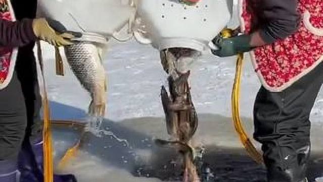 #户外捕鱼 #好多鱼