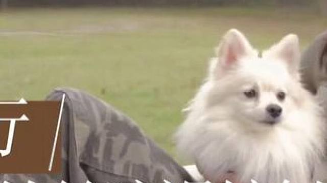 #野外生存 #露营 #野营 #户外拍摄