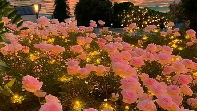 生活乡村我要上热门