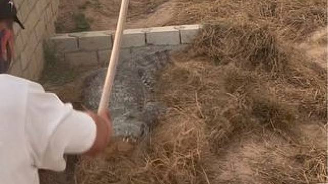 你只管玩，剩下的交个各行各业